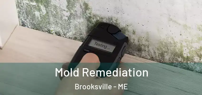 Mold Remediation Brooksville - ME