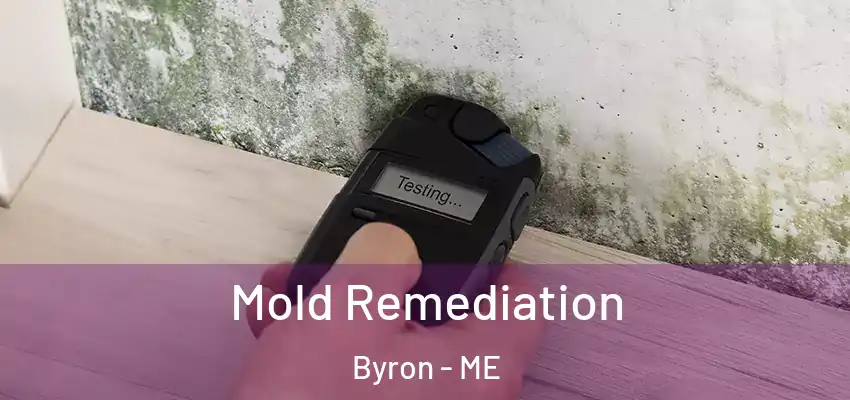  Mold Remediation Byron - ME