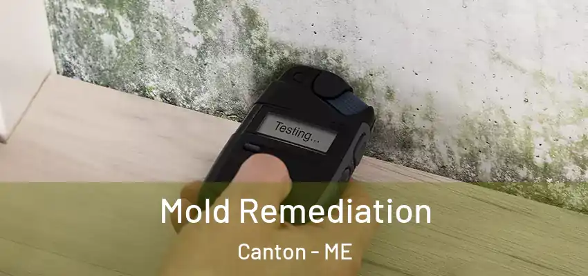 Mold Remediation Canton - ME