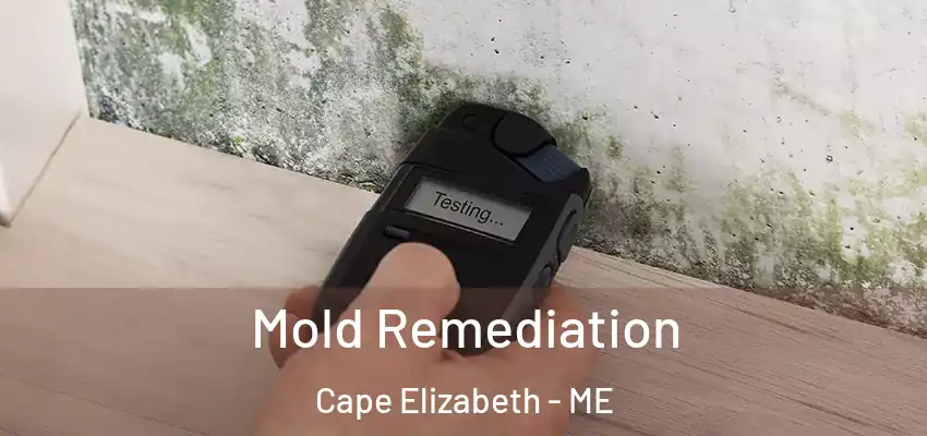  Mold Remediation Cape Elizabeth - ME