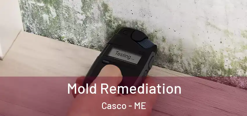  Mold Remediation Casco - ME