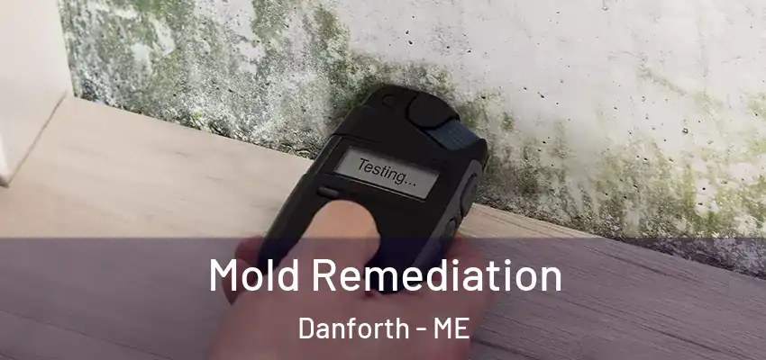  Mold Remediation Danforth - ME
