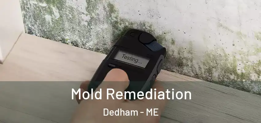  Mold Remediation Dedham - ME