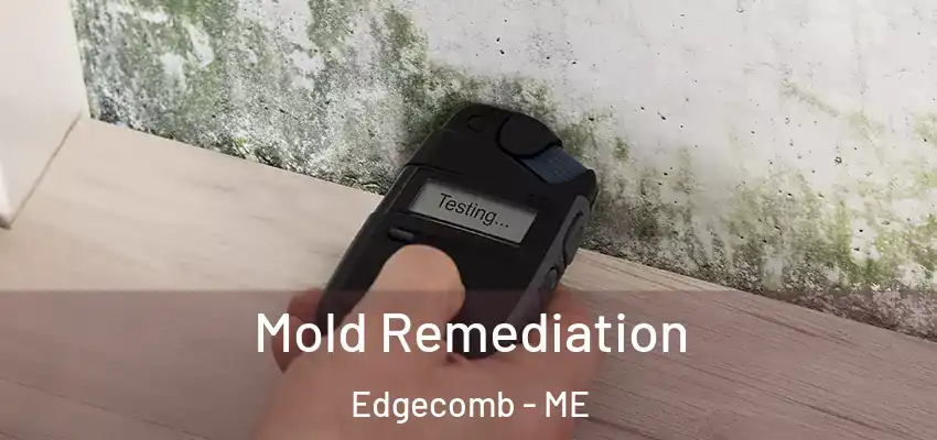 Mold Remediation Edgecomb - ME