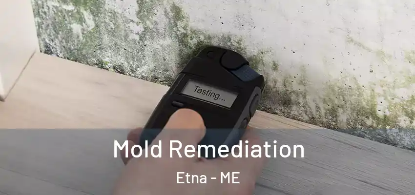 Mold Remediation Etna - ME
