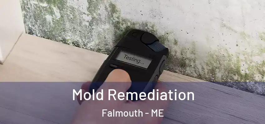  Mold Remediation Falmouth - ME