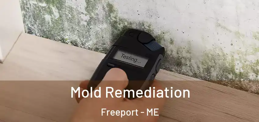  Mold Remediation Freeport - ME