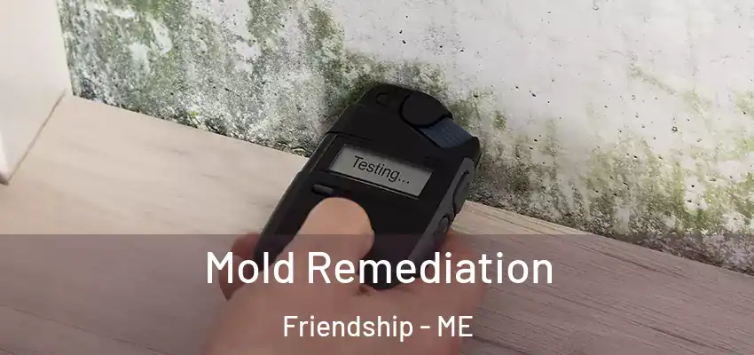  Mold Remediation Friendship - ME