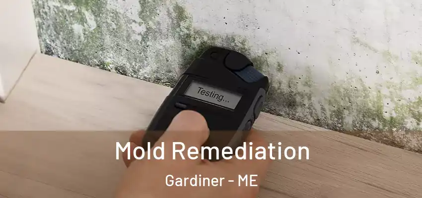  Mold Remediation Gardiner - ME