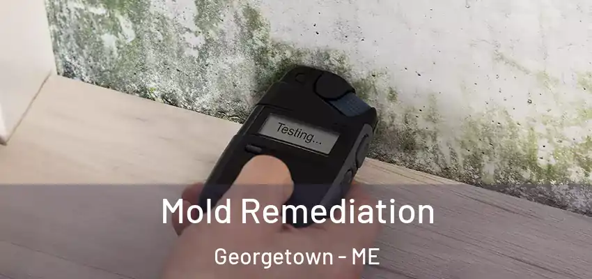  Mold Remediation Georgetown - ME