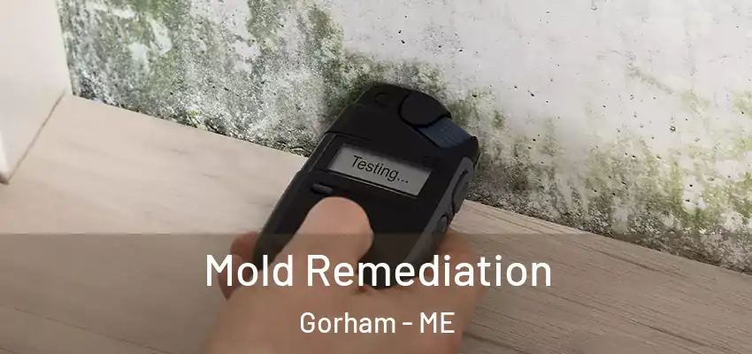  Mold Remediation Gorham - ME