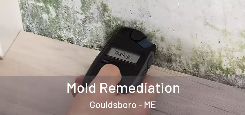 Mold Remediation Gouldsboro - ME