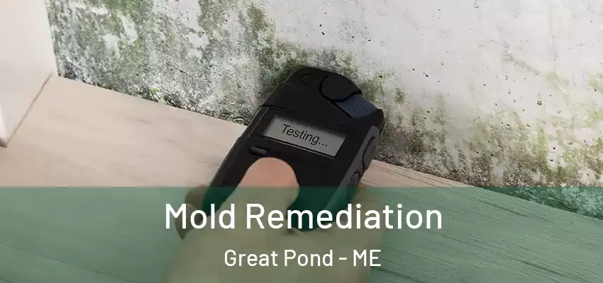  Mold Remediation Great Pond - ME