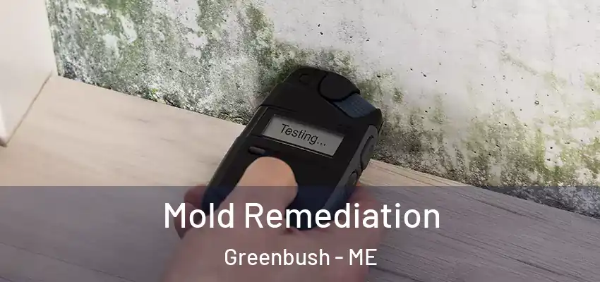  Mold Remediation Greenbush - ME