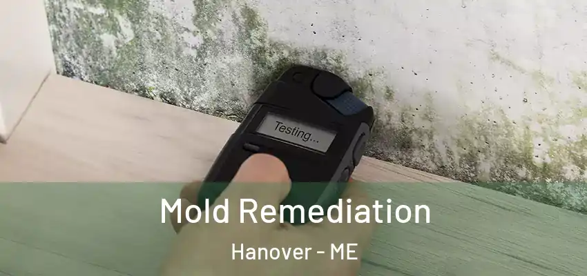  Mold Remediation Hanover - ME