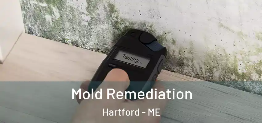 Mold Remediation Hartford - ME
