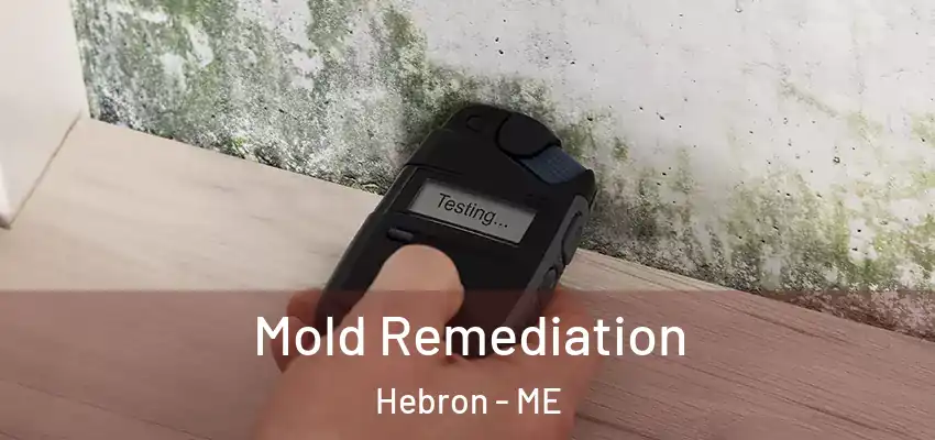 Mold Remediation Hebron - ME