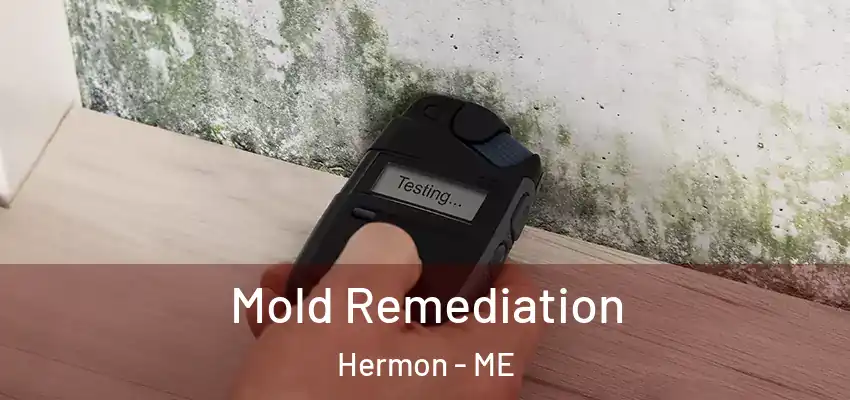  Mold Remediation Hermon - ME