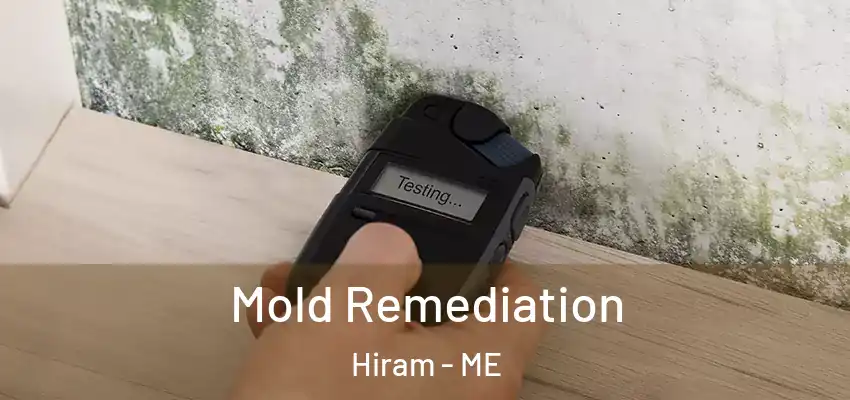  Mold Remediation Hiram - ME
