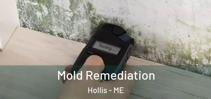  Mold Remediation Hollis - ME