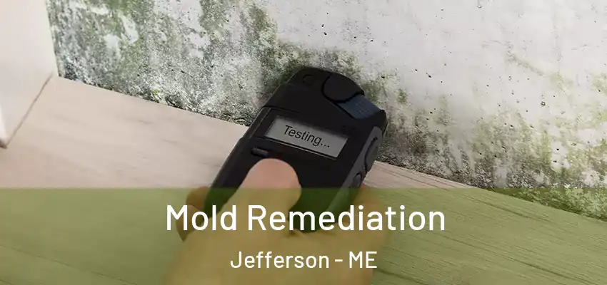 Mold Remediation Jefferson - ME