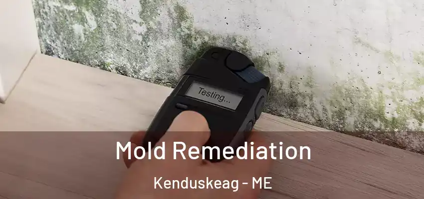  Mold Remediation Kenduskeag - ME