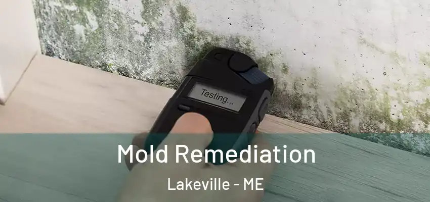  Mold Remediation Lakeville - ME