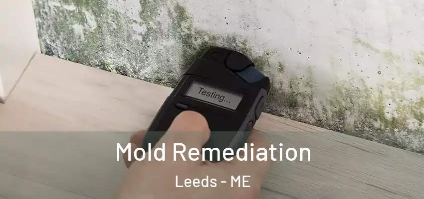 Mold Remediation Leeds - ME