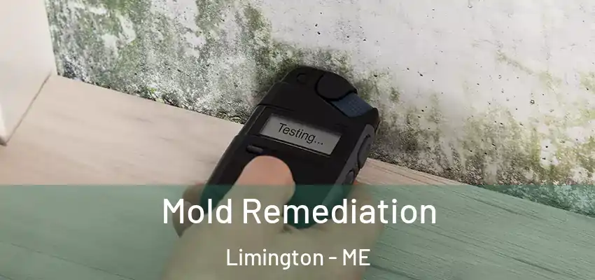  Mold Remediation Limington - ME