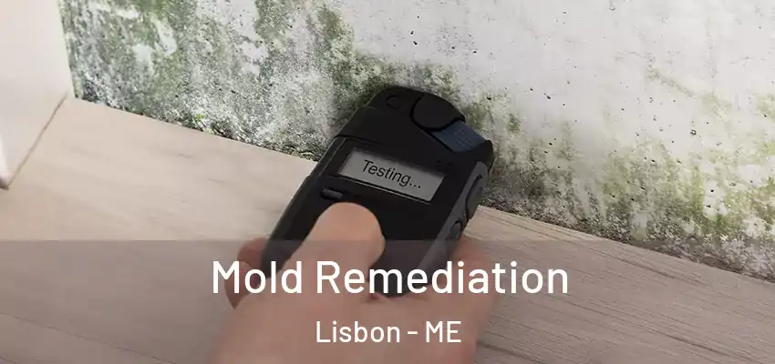  Mold Remediation Lisbon - ME