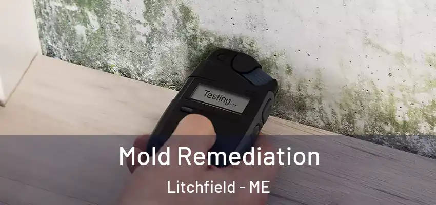  Mold Remediation Litchfield - ME