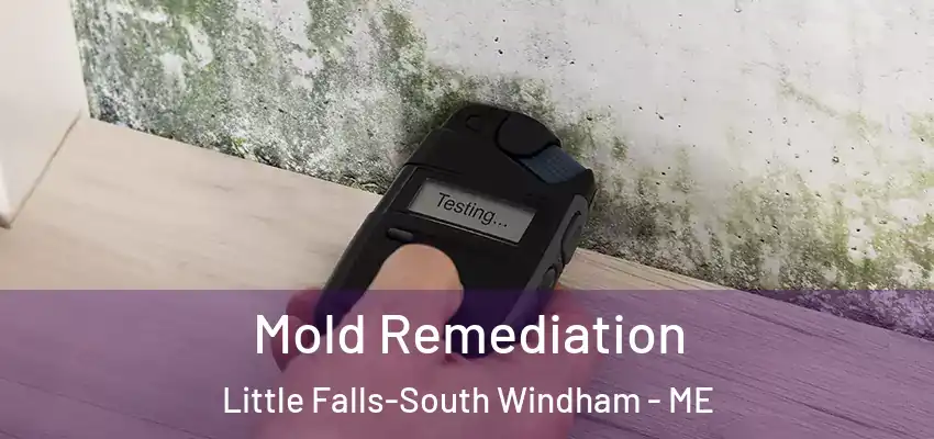 Mold Remediation Little Falls-South Windham - ME