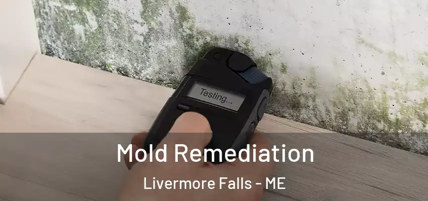  Mold Remediation Livermore Falls - ME