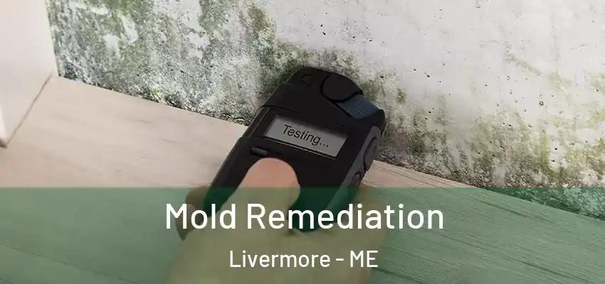  Mold Remediation Livermore - ME