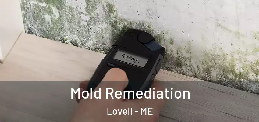  Mold Remediation Lovell - ME