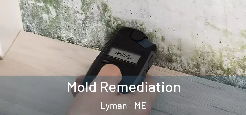  Mold Remediation Lyman - ME
