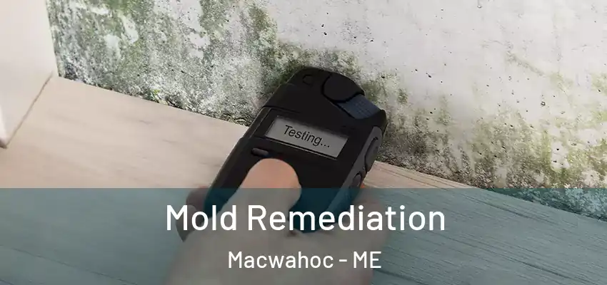  Mold Remediation Macwahoc - ME