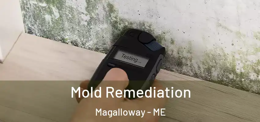 Mold Remediation Magalloway - ME