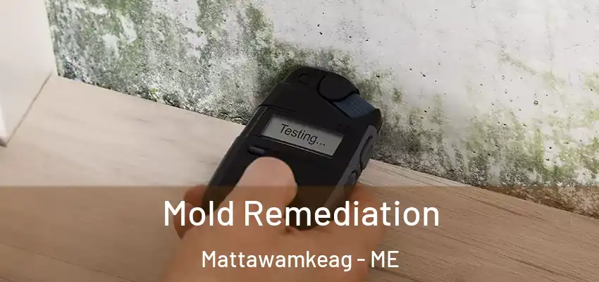  Mold Remediation Mattawamkeag - ME