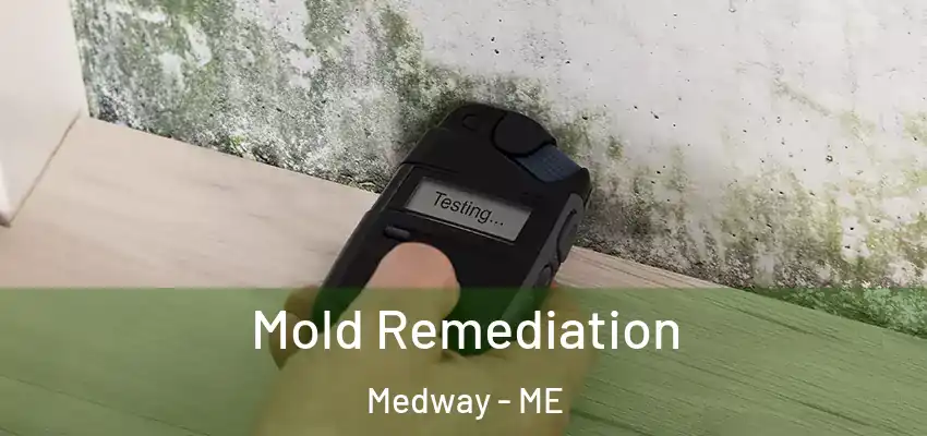 Mold Remediation Medway - ME
