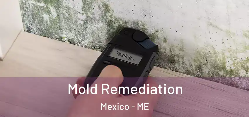 Mold Remediation Mexico - ME