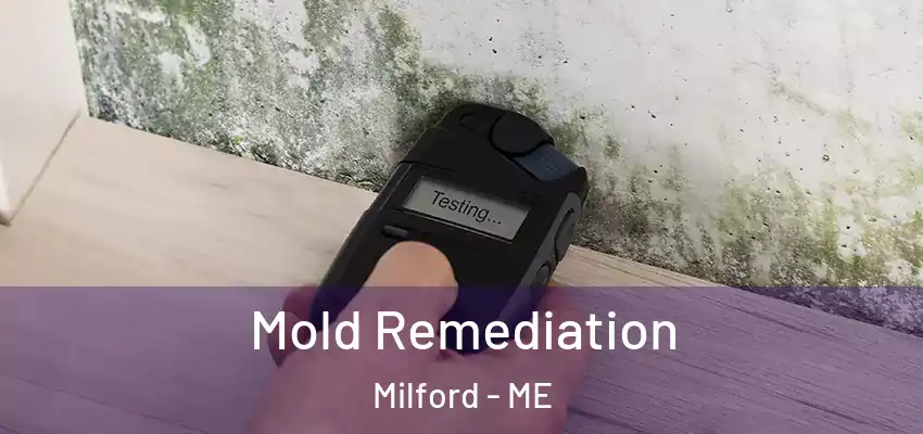 Mold Remediation Milford - ME