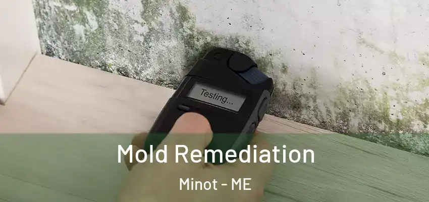 Mold Remediation Minot - ME