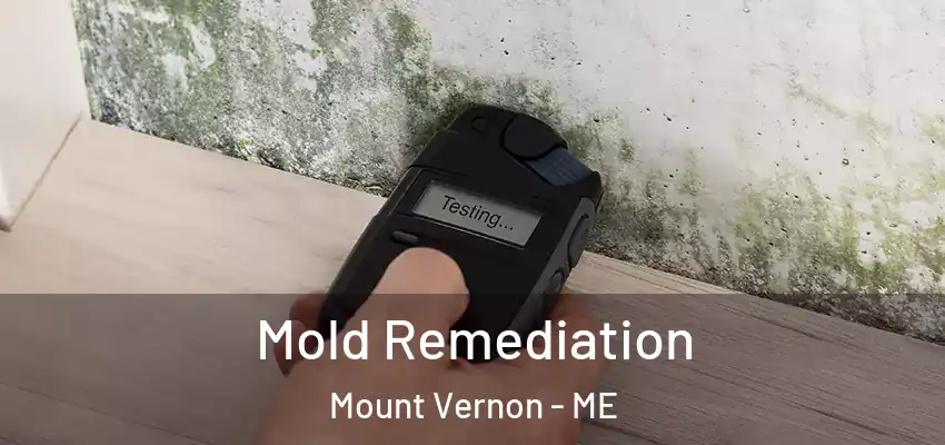  Mold Remediation Mount Vernon - ME