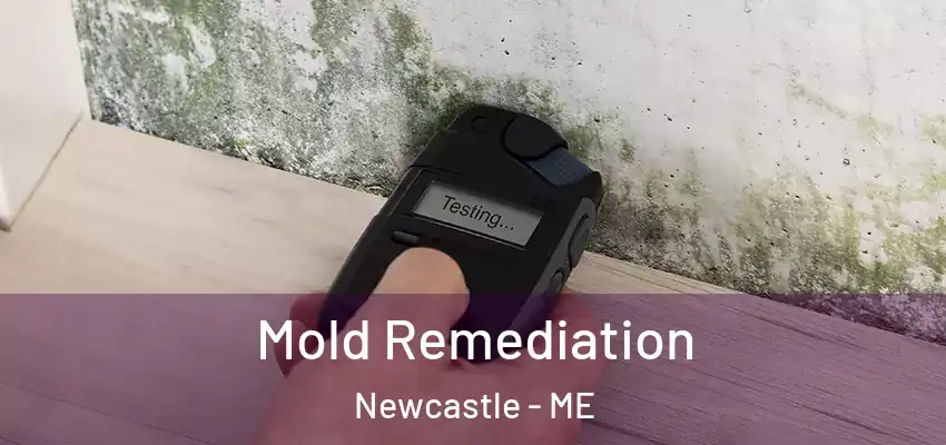  Mold Remediation Newcastle - ME
