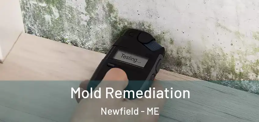 Mold Remediation Newfield - ME