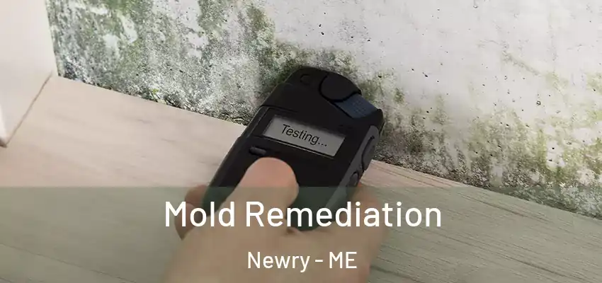 Mold Remediation Newry - ME