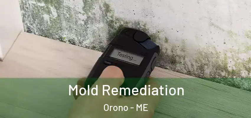 Mold Remediation Orono - ME