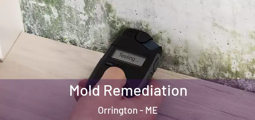  Mold Remediation Orrington - ME