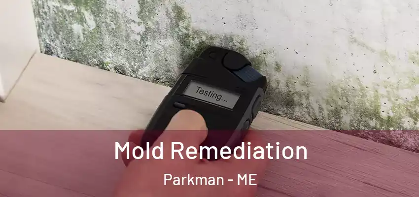 Mold Remediation Parkman - ME
